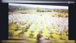 蜘蛛侠三彩蛋，奇异博士找绯红女巫寻求帮助