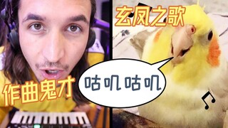 مزيج ممتع وجميل، أغنية الببغاء الهجين "Kookee Kookee"