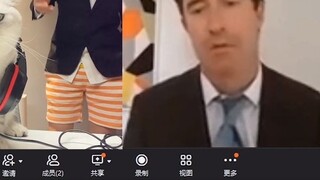 When the cat kept causing trouble during my online interview