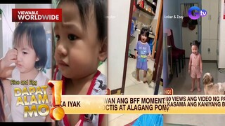 #JustKidding - bata, ‘egg is life’; baby, naiyak dahil sa video ng isang pusa | Dapat Alam Mo!
