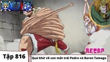 One Piece Tập 816 | Quá khứ về con cái đôi mắt trái ngược Pedro và Baron Tamago | Đảo Hải Tặc Tóm Tắt Anime