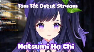 【Debut Stream】Natsumi Hạ Chi [Tóm Tắt]