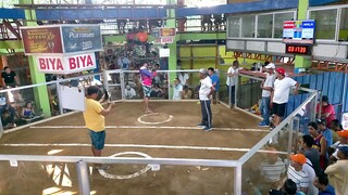 Bulik Palay vs Punong Talisayin ( Rematch) sayang di na video Ang una hayst🥺😂