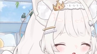 Can you read this? Is this right? You are all bullying me. Look at what you send to cats every day!