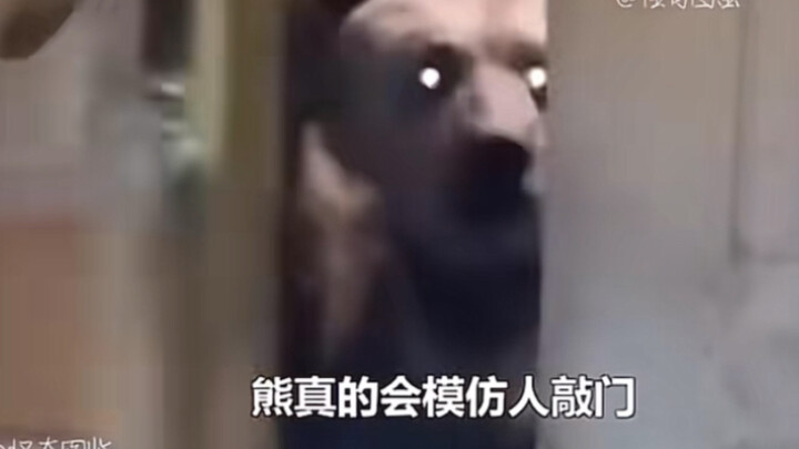 光头强：你以为我在虚张声势么？