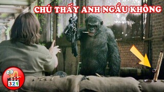 CƯỜI PHÙ MỎ Với Cách Báo Thù Của Loài Khỉ Trong Hành Tinh Khỉ