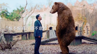 全场的焦点由贾冰买单