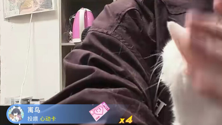 During a livestream, Chen Maosheng happened to come across a casually recorded clip and thought he w