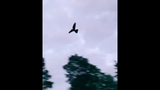 ควรปล่อยอะไรที่เป็นไปไม่ได้ หรือควรรอดี