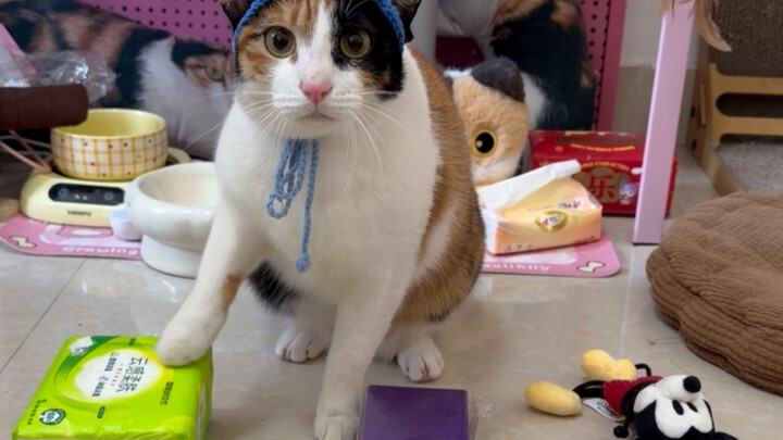 Open the Door: What Should I Wear Today?