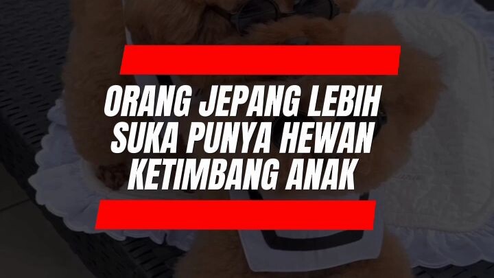 Pilih Anak atau Anjing ?