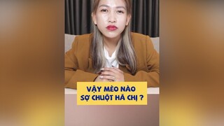 Mèo mà sợ chuột ư?? 🫣🫣tranphungmyloan lonapets LearnOnTikTok lonapetsshops xuhuongtiktok mèo