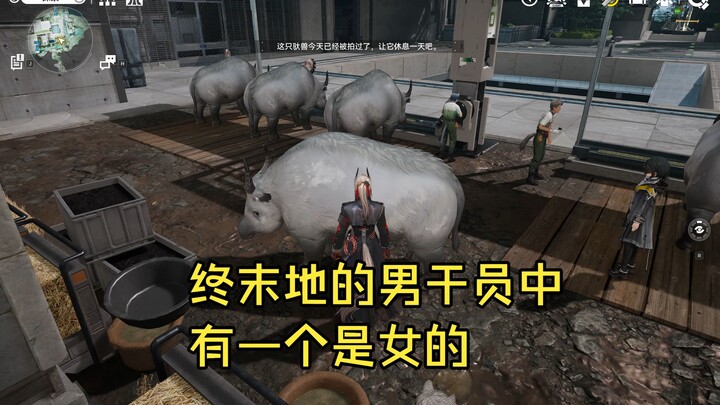 Newly Discovered Method for Distinguishing Operator Gender Through Gyro‑Beast Interactions by Chishi