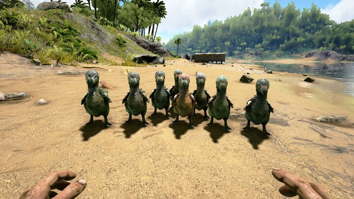 Ark 8: What Does It Feel Like to Raise a Flock of Chickens in the Game