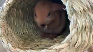 Kualitas tidur yang patut ditiru