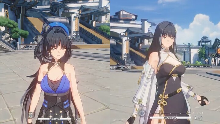 Yangyang & Baizhi Moveset (Private Server) - Wuthering Waves