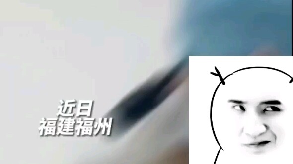 Man Breaks Into a Home to Steal, Only to Be Flattened by a Mosquito on the Wall—Which Suddenly Becom