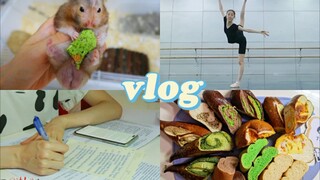 「舞蹈生vlog」拼死复习的考试周/切面包/天天加专业课