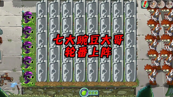 The seven elder Pea Brothers take turns in action—when it comes to taking down those sly zombies, wh
