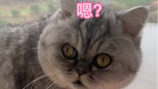 听说全网都在呼叫妈耶？