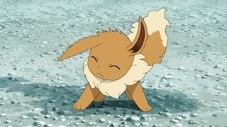 Eevee không thể tiến hóa dễ thương quá!