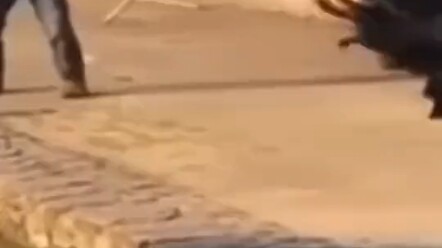 Running fast doesn’t always mean you win—staying upright is true success.