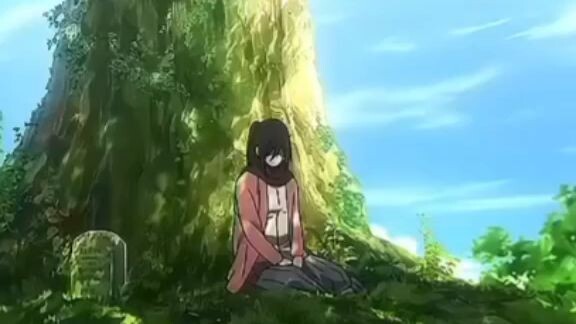 aot