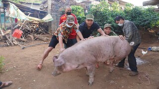 TIẾ.T CANH LỢN CỤ