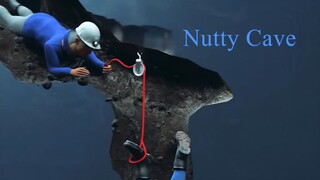 Nutty Putty Cave Story