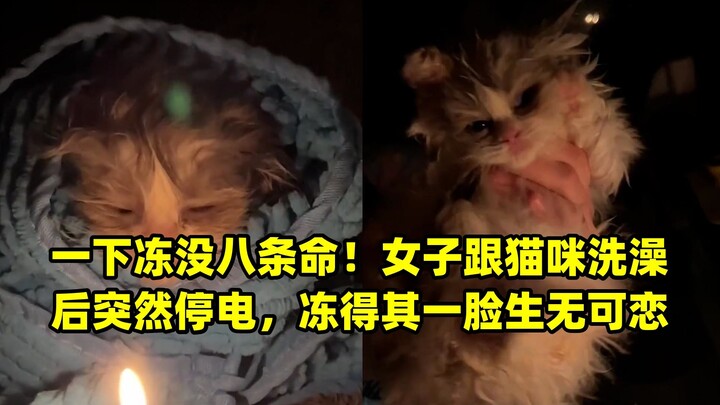 Sekali membeku, nyaris kehabisan delapan nyawa! Setelah memandikan kucing, listrik tiba-tiba padam, 
