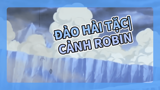 Đảo Hải Tặc| Robin thì hẳn là một diễn viên già rồi