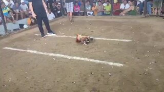 Fantastic Dome in action #2