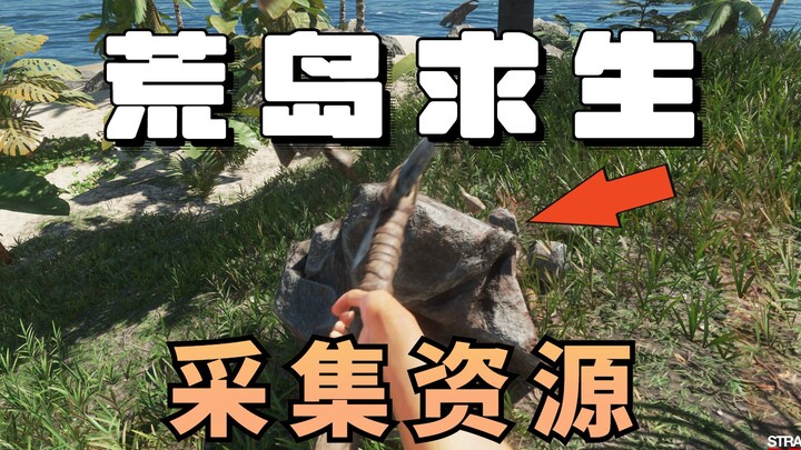 Explore the island and scavenge for survival resources [Desert Island Survival 02]