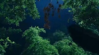 ลูกเขยที่ไร้ประโยชน์กลับกลายเป็นปรมาจารย์ศิลปะการต(720P_H