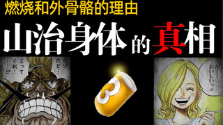 [Pirate Sanji] Awakening!! The secret of Sanji's ability to burn and his exoskeleton!!