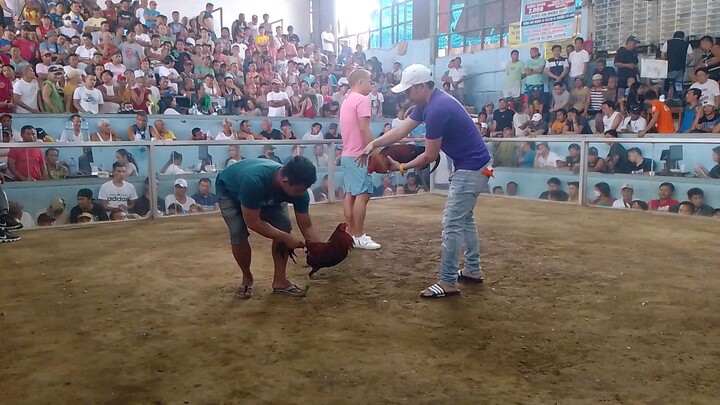 2nd fight talo din