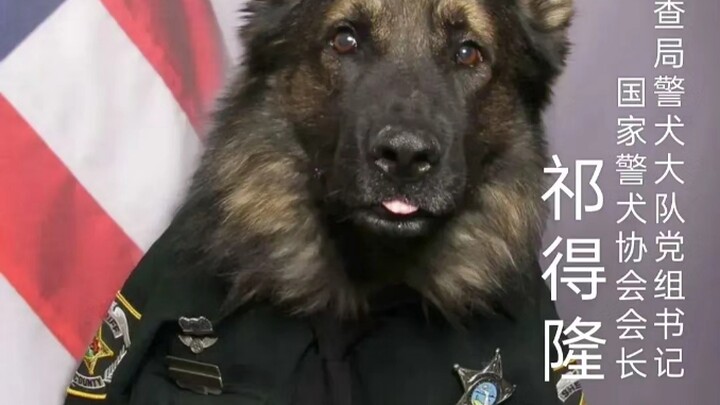 Thanks to Director Qi—no need for further words.