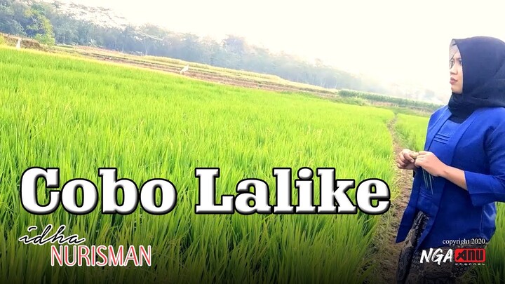 cobo lalike