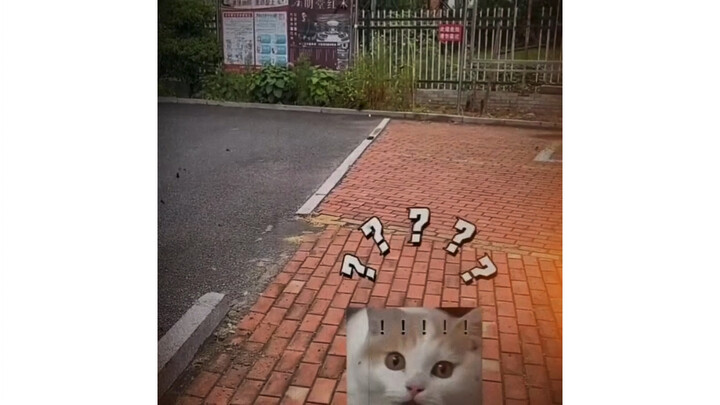 “谁家的水壶开了？”