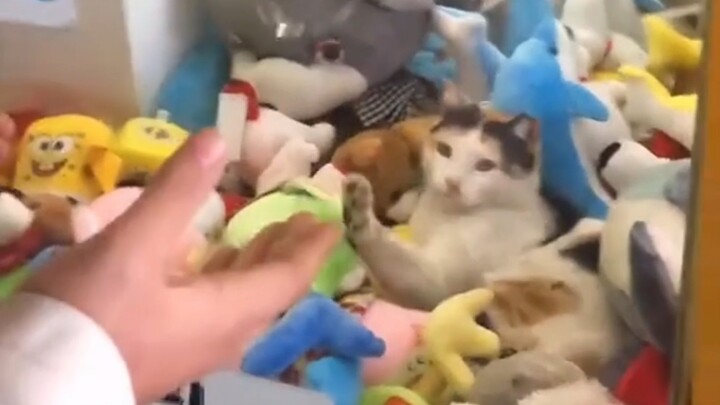 امسك الميمي