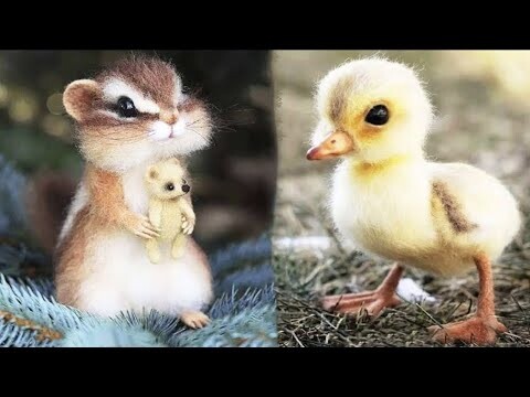 Cute Baby Animals Videos Compilation | Funny and Cute Moment of the Animals #2 - Cutest Animals 2024