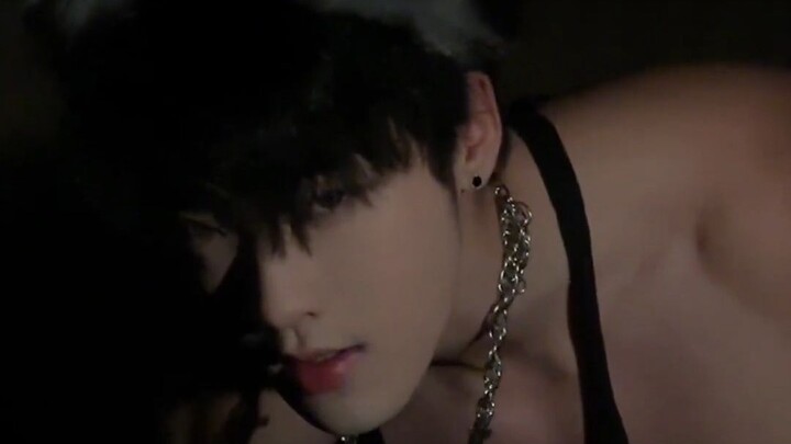 He said this is love brain, not a lick dog...