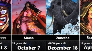 Birthday Of One Piece Characters