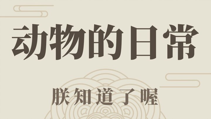 快停手，你们不要再打了啦~