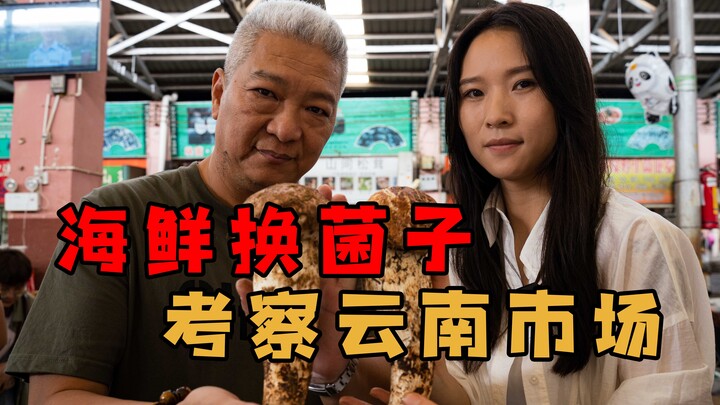 【พี่ชิงเจี๋ยแห่งซ่างชิง】มาถึงยูนนาน ใช้ของทะเลแลกเห็ด ดูกันว่าฉันจะได้อะไรดีๆ มาบ้าง