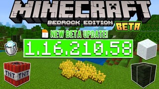 UPDATE! MCPE BETA V1.16.210.58 | XBOX LIVE ✅ KELP & TNT💣 Fixes - Change Log!