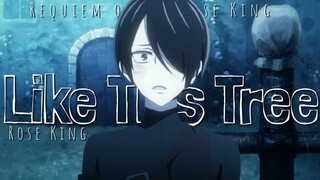 Baraou no Souretsu「Kuma AMV」Like This Treeᴴᴰ