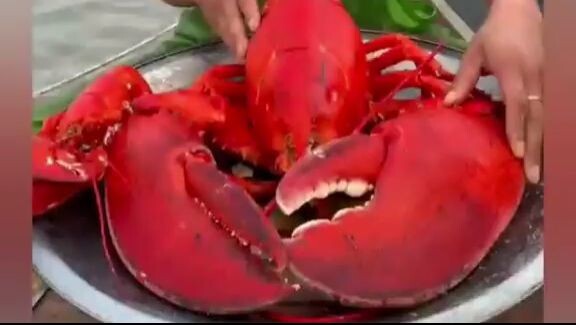 Chinese fishermen eat giant lobster Ep.1