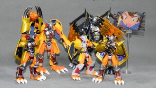 Digimon Model Chronicles - Battle Greymon Find the Digimon of your childhood [Messenger Talks about 
