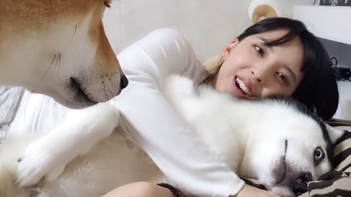 Trời hôm nay thật thích hợp để cùng lôi các cún con ra sưởi ấm ga giường!